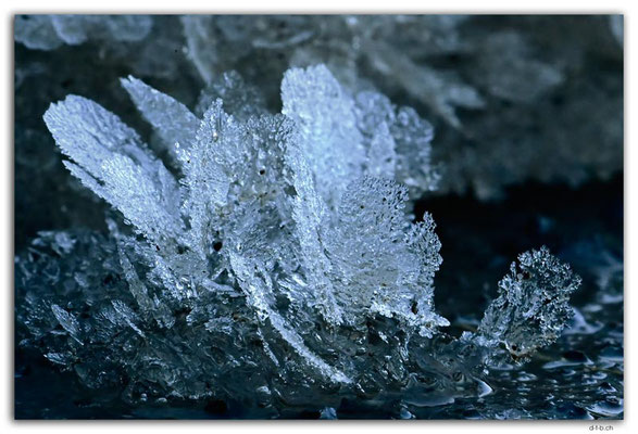 GW0629.Eiskristalle