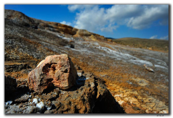 IR0308.Badab Soort