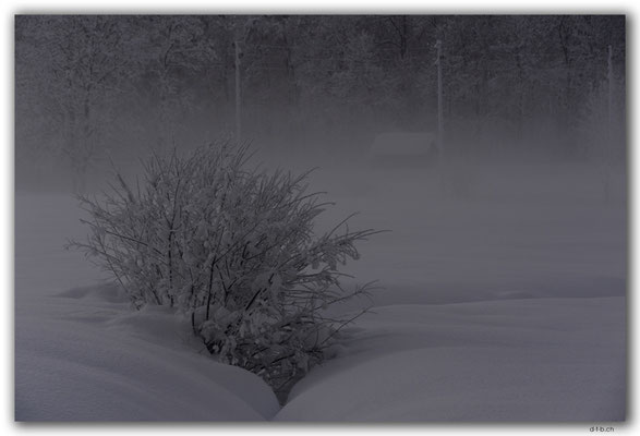 GW0180.Schnee und Nebel