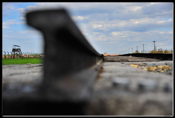 PL047.Birkenau.Schienenstrang