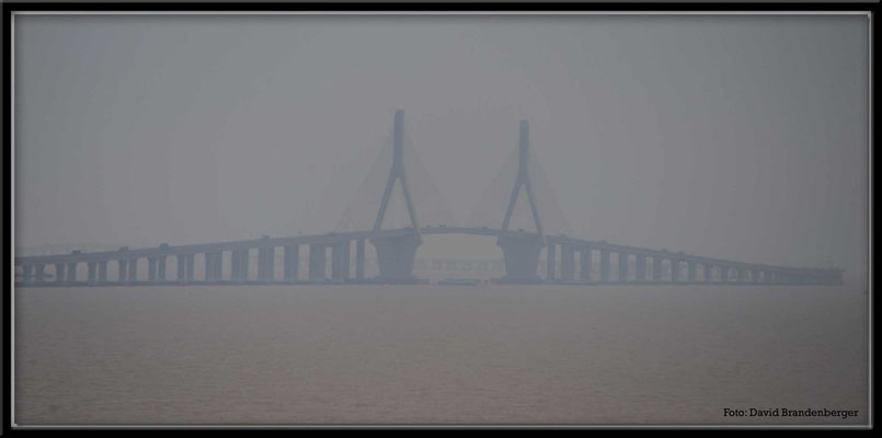 C1491 Donghai Bridge