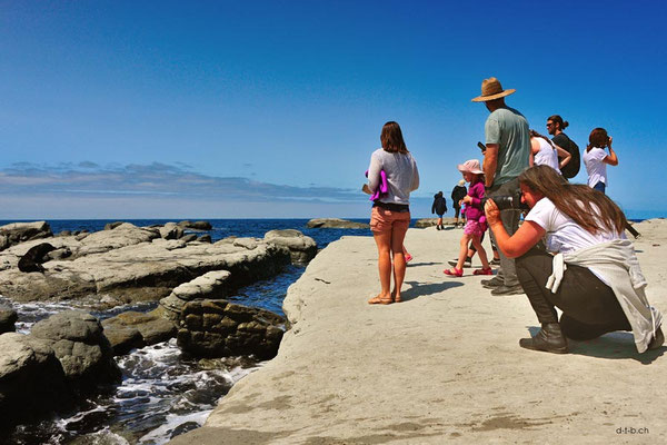 Neuseeland.Kaikoura