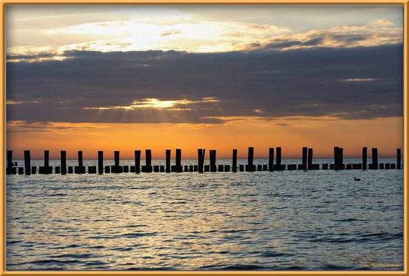 A0486.Zingst.