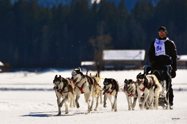 CH1376.SH-Rennen Lenk.Moser Christian