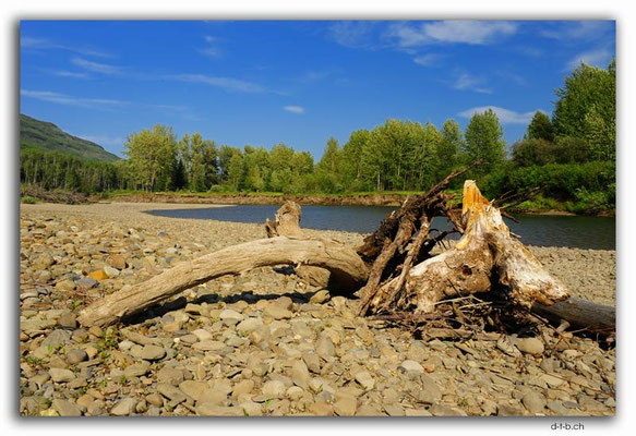 CA0559.Pine River .jpg
