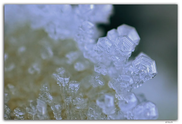 GW0597.Eiskristalle