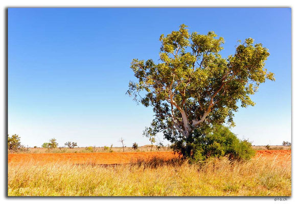 AU0272.Great Sandy Desert