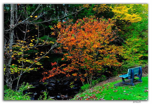 CA1007.Weedon.Parc du vieux moulin