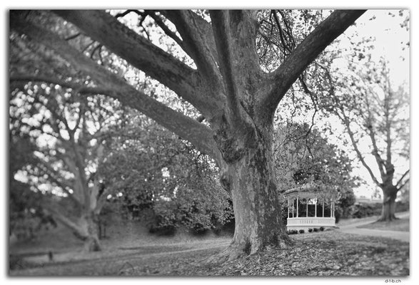 NZ0272.Hamilton.Park opposite Rowing Club