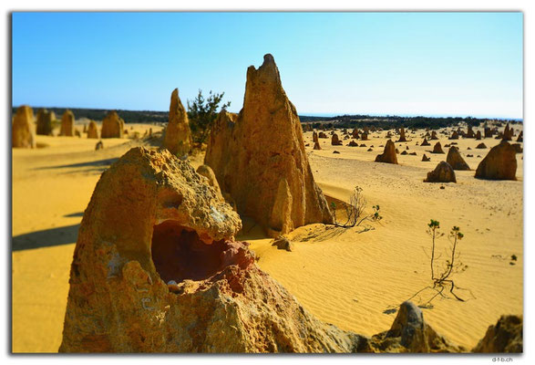 AU0596.Nambung N.P.Pinnacles