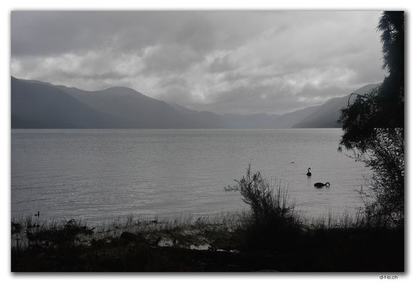 NZ0673.Nelson Lakes N.P.Lake Rotoroa