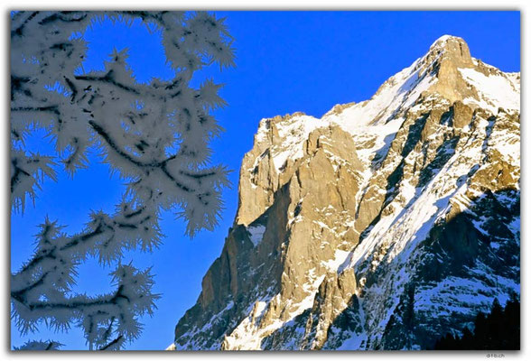 GW0660.Ice crystals and Wetterhorn