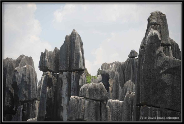 C0805Stone Forest