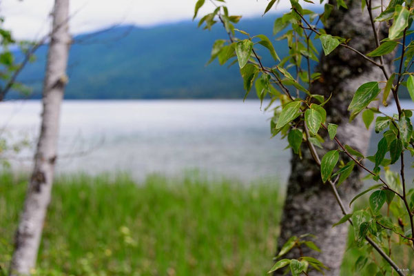 CA0208 White Lake