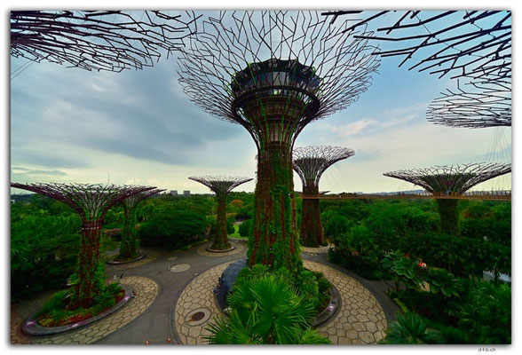 SIN0106.Gardens by the Bay.Supertrees