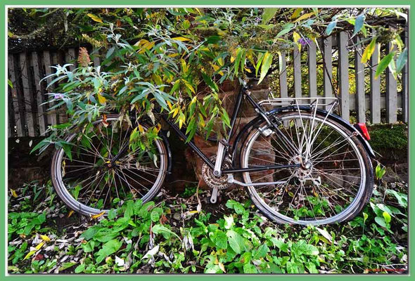 A0592.Velo.Trier.