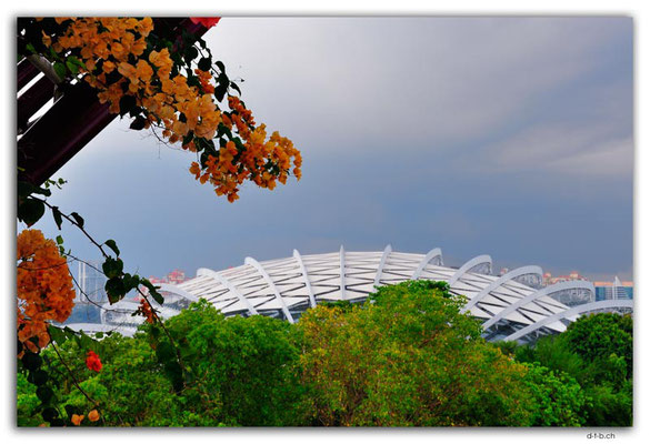 SIN0107.Gardens by the Bay.Supertrees