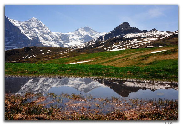 GW0276.Mönch, Jungfrau und Lauberhorn