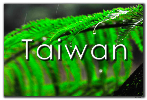 Fotogalerie Taiwan / Photogallery Taiwan