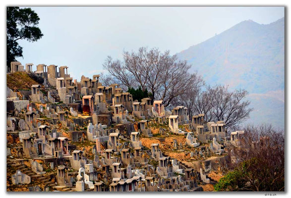 HK0134.Wo Hop Shek Cemetry