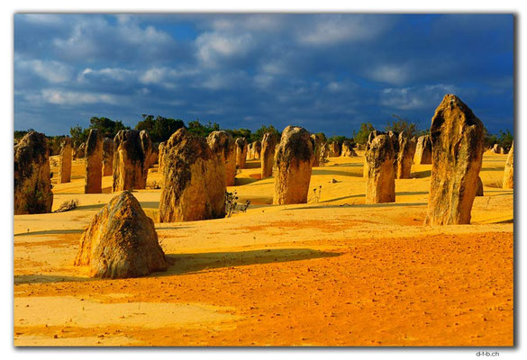 AU0602.Nambung N.P.Pinnacles