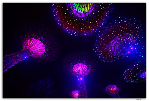 SIN0078.Gardens by the Bay.Supertrees Lightshow