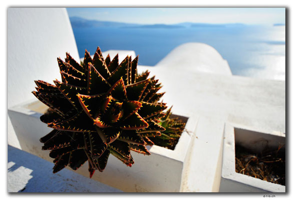 GR0596.Oia