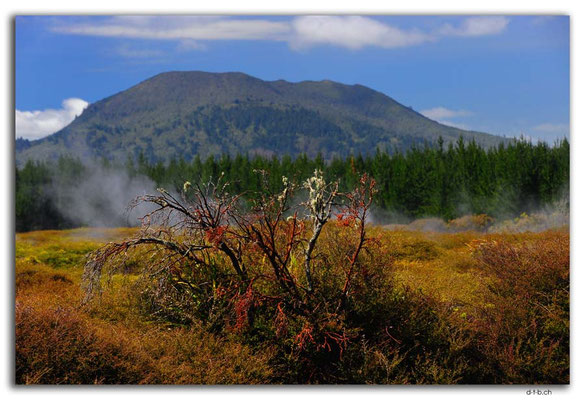 NZ0325.Taupo.Craters of the Moon.Mt.Tauhara