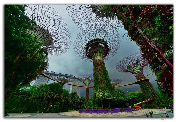 SIN0116.Gardens by the Bay.Supertrees