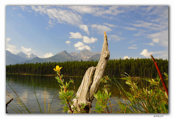 CA06315.Herbert Lake