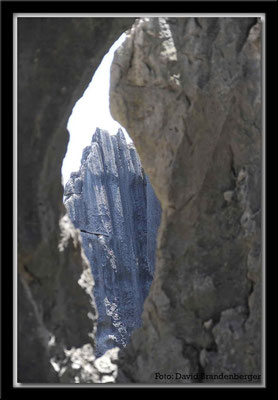 C0835Stone Forest