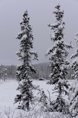 SE0036 Hütte