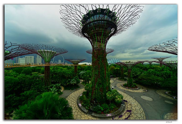 SIN0114.Gardens by the Bay