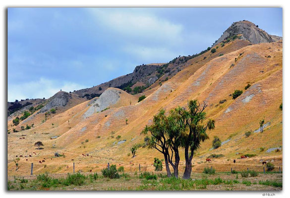 NZ0693.Hills beside the road