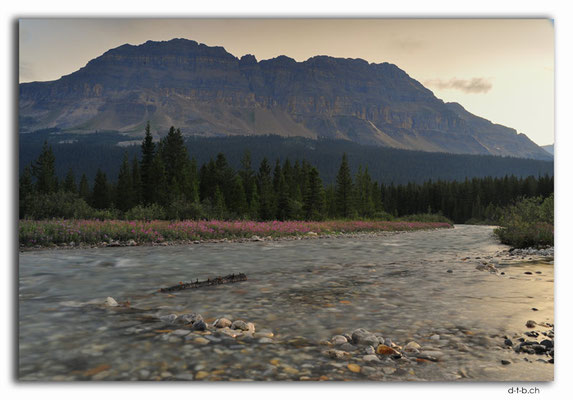 CA0629.Bow River