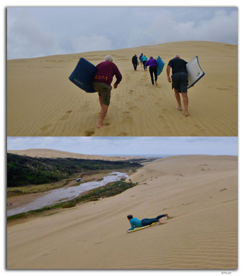 NZ0118.Sand Dune boarding at Te Paki
