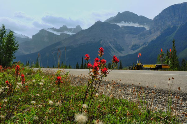 CA. Solatrike on the Icefield Highway