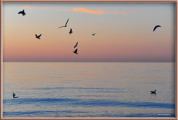 A0500.Zingst.