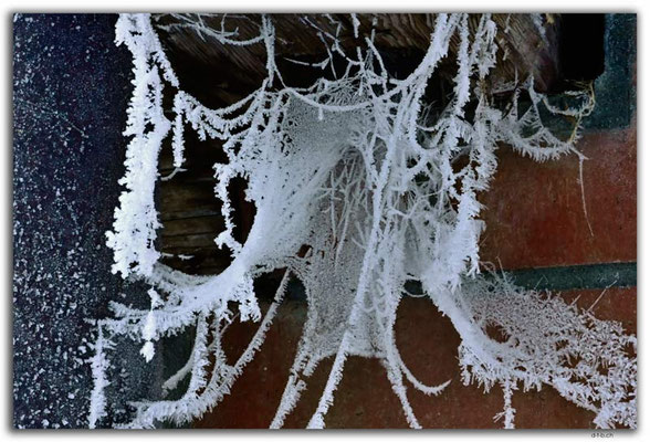 GW0648.Ice crystals on a spider web