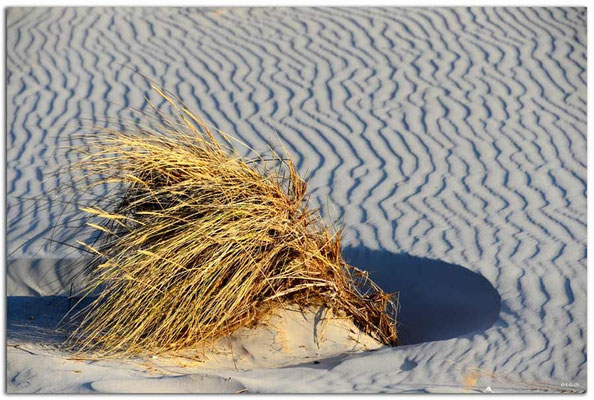 DE107.Amrum.Sandmuster
