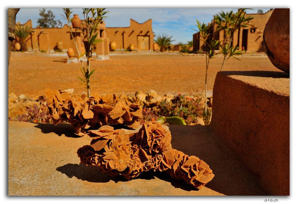 MA0252.Musée des sources de Lalla Mimouna