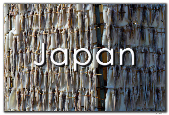 Fotogalerie Japan / Photogallery Japan