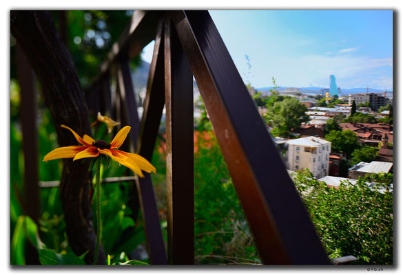 GE0150.Tbilisi.Blume