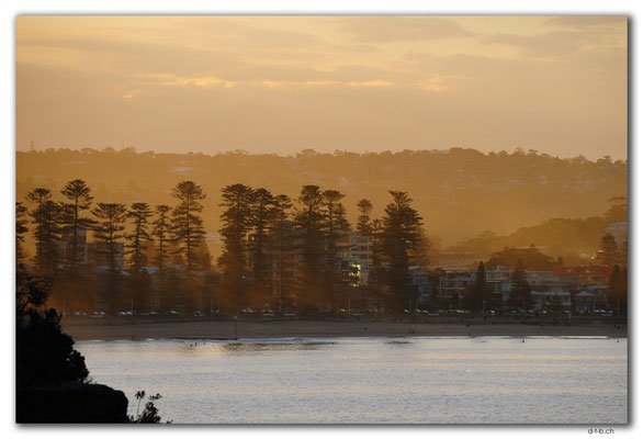 AU1546.Sydney.Shelly Headland Upper Lookout.Freshwater Beach