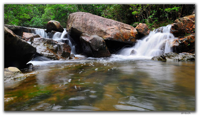 HK0169.At Tai Tam Mound Fall.