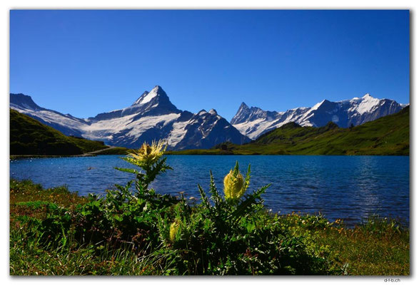 GW0359.Bachalpsee