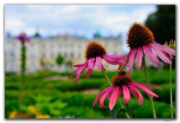 PL192.Bialystok.Palastgarten
