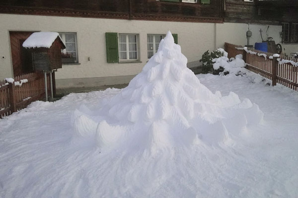 Schneetanne 2024