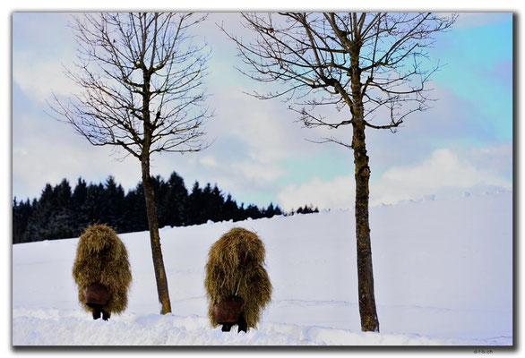 CH0972.Silvesterchlausen.Waldstatt