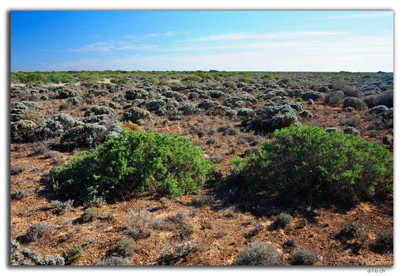 AU0934.Nullarbor N.P